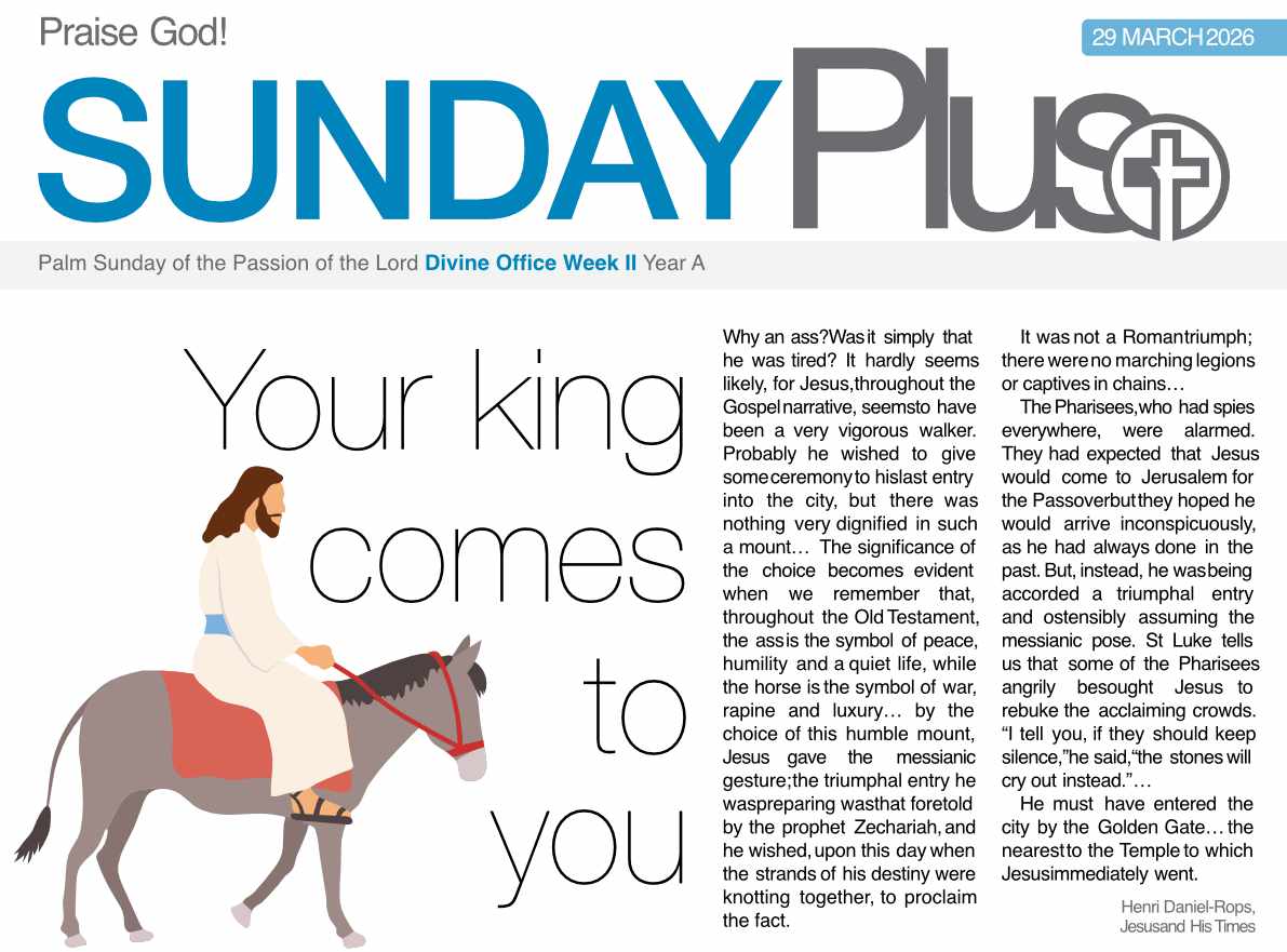 HOME 3 Sunday Plus Picture 29 03 2026