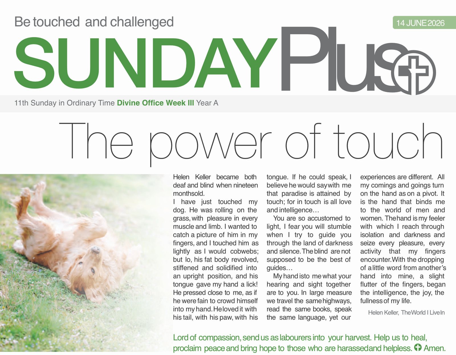 Sunday Plus Picture 14 06 2026